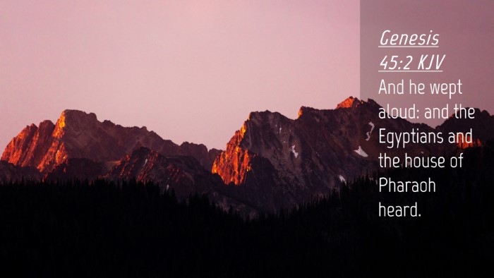 Picture 04 - Genesis 45:2 KJV Desktop Wallpaper - And he wept aloud: and the Egyptians and the - Desktop Bible Verse Wallpaper
