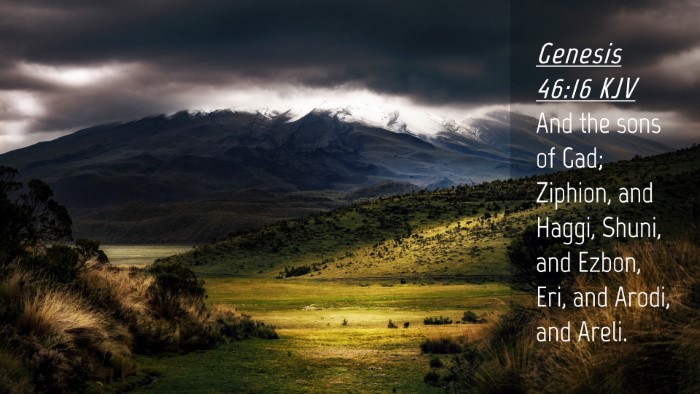 Picture 04 - Genesis 46:16 KJV Desktop Wallpaper - And the sons of Gad; Ziphion, and Haggi, Shuni, - Desktop Bible Verse Wallpaper