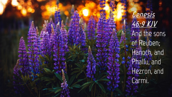 Picture 04 - Genesis 46:9 KJV Desktop Wallpaper - And the sons of Reuben; Hanoch, and Phallu, and - Desktop Bible Verse Wallpaper