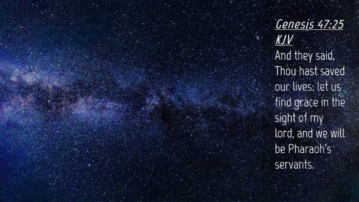 Picture 04 - Genesis 47:25 KJV Desktop Wallpaper - And they said, Thou hast saved our lives: let us - Desktop Bible Verse Wallpaper
