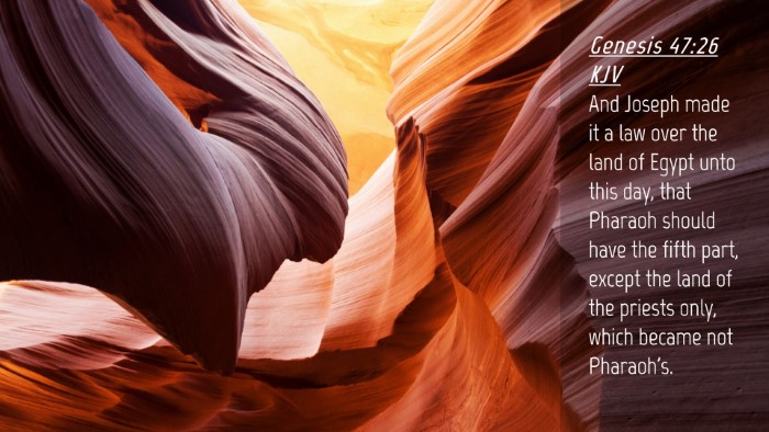 Picture 04 - Genesis 47:26 KJV Desktop Wallpaper - And Joseph made it a law over the land of Egypt - Desktop Bible Verse Wallpaper