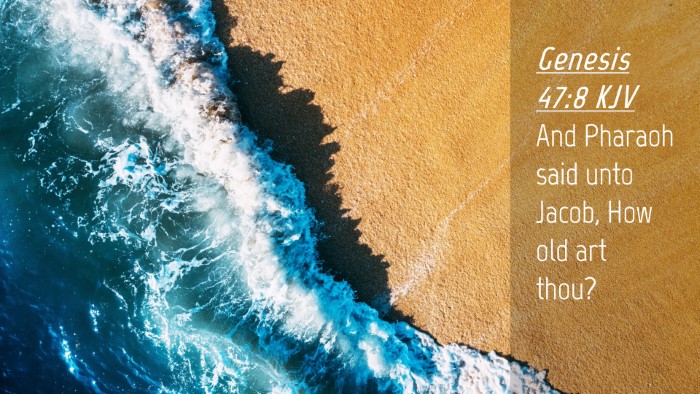 Picture 04 - Genesis 47:8 KJV Desktop Wallpaper - And Pharaoh said unto Jacob, How old art - Desktop Bible Verse Wallpaper