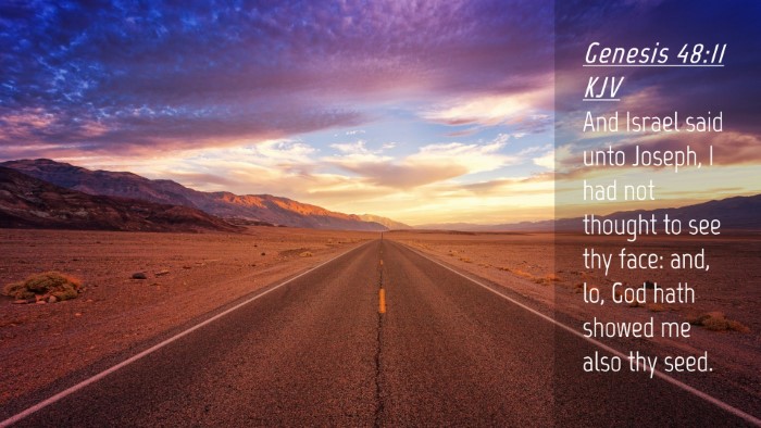 Picture 04 - Genesis 48:11 KJV Desktop Wallpaper - And Israel said unto Joseph, I had not thought to - Desktop Bible Verse Wallpaper