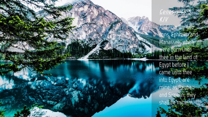Picture 04 - Genesis 48:5 KJV Desktop Wallpaper - And now thy two sons, Ephraim and Manasseh, which - Desktop Bible Verse Wallpaper