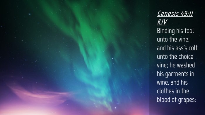 Picture 04 - Genesis 49:11 KJV Desktop Wallpaper - Binding his foal unto the vine, and his ass's - Desktop Bible Verse Wallpaper