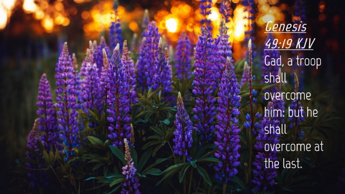 Picture 04 - Genesis 49:19 KJV Desktop Wallpaper - Gad, a troop shall overcome him: but he shall - Desktop Bible Verse Wallpaper