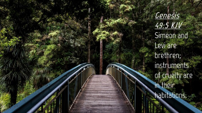 Picture 04 - Genesis 49:5 KJV Desktop Wallpaper - Simeon and Levi are brethren; instruments of - Desktop Bible Verse Wallpaper