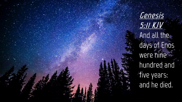 Picture 04 - Genesis 5:11 KJV Desktop Wallpaper - And all the days of Enos were nine hundred and - Desktop Bible Verse Wallpaper