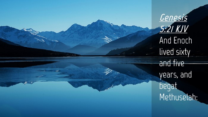 Picture 04 - Genesis 5:21 KJV Desktop Wallpaper - And Enoch lived sixty and five years, and begat - Desktop Bible Verse Wallpaper