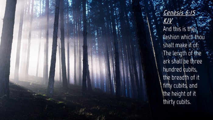 Picture 04 - Genesis 6:15 KJV Desktop Wallpaper - And this is the fashion which thou shalt make it - Desktop Bible Verse Wallpaper