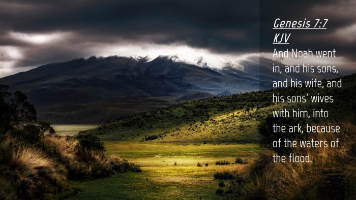 Picture 04 - Genesis 7:7 KJV Desktop Wallpaper - And Noah went in, and his sons, and his wife, and - Desktop Bible Verse Wallpaper