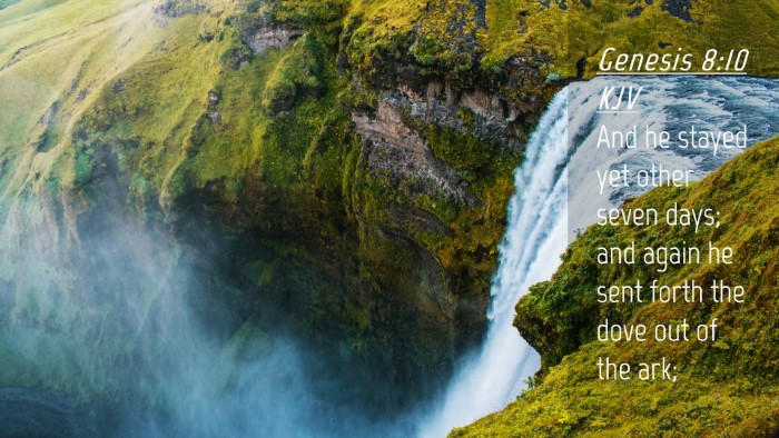 Picture 04 - Genesis 8:10 KJV Desktop Wallpaper - And he stayed yet other seven days; and again he - Desktop Bible Verse Wallpaper