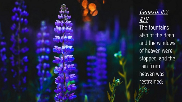 Picture 04 - Genesis 8:2 KJV Desktop Wallpaper - The fountains also of the deep and the windows of - Desktop Bible Verse Wallpaper