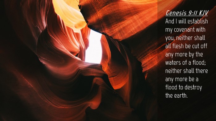 Picture 04 - Genesis 9:11 KJV Desktop Wallpaper - And I will establish my covenant with you, - Desktop Bible Verse Wallpaper