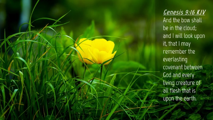 Picture 04 - Genesis 9:16 KJV Desktop Wallpaper - And the bow shall be in the cloud; and I will - Desktop Bible Verse Wallpaper