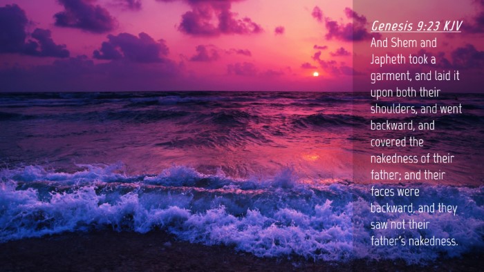 Picture 04 - Genesis 9:23 KJV Desktop Wallpaper - And Shem and Japheth took a garment, and laid it - Desktop Bible Verse Wallpaper