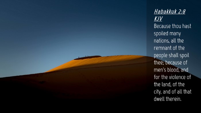 Picture 04 - Habakkuk 2:8 KJV Desktop Wallpaper - Because thou hast spoiled many nations, all the - Desktop Bible Verse Wallpaper