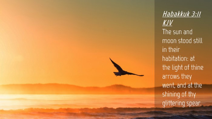 Picture 04 - Habakkuk 3:11 KJV Desktop Wallpaper - The sun and moon stood still in their habitation: - Desktop Bible Verse Wallpaper