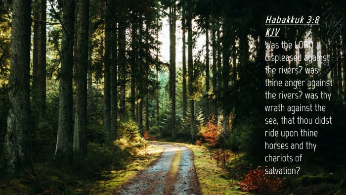 Picture 04 - Habakkuk 3:8 KJV Desktop Wallpaper - Was the LORD displeased against the rivers? was - Desktop Bible Verse Wallpaper