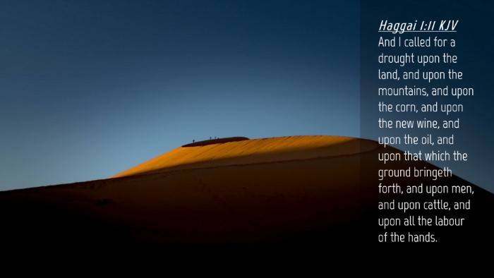 Picture 04 - Haggai 1:11 KJV Desktop Wallpaper - And I called for a drought upon the land, and - Desktop Bible Verse Wallpaper