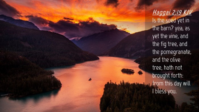 Picture 04 - Haggai 2:19 KJV Desktop Wallpaper - Is the seed yet in the barn? yea, as yet the - Desktop Bible Verse Wallpaper