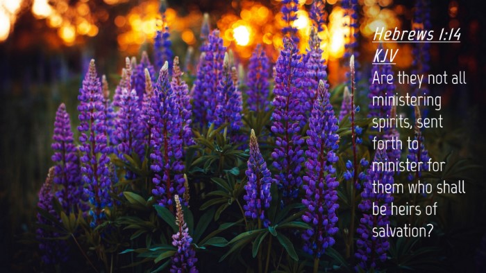 Picture 04 - Hebrews 1:14 KJV Desktop Wallpaper - Are they not all ministering spirits, sent forth - Desktop Bible Verse Wallpaper