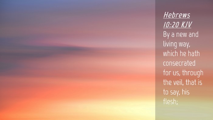 Picture 04 - Hebrews 10:20 KJV Desktop Wallpaper - By a new and living way, which he hath - Desktop Bible Verse Wallpaper
