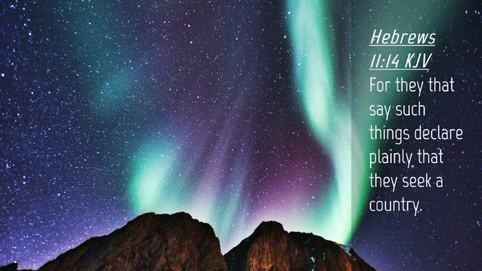 Picture 04 - Hebrews 11:14 KJV Desktop Wallpaper - For they that say such things declare plainly - Desktop Bible Verse Wallpaper