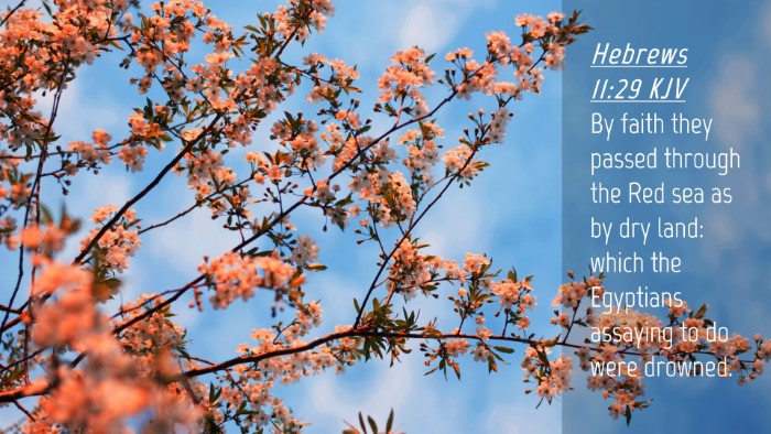 Picture 04 - Hebrews 11:29 KJV Desktop Wallpaper - By faith they passed through the Red sea as by - Desktop Bible Verse Wallpaper