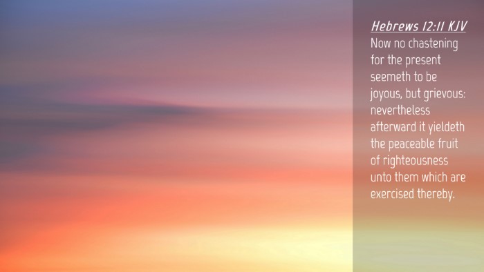 Picture 04 - Hebrews 12:11 KJV Desktop Wallpaper - Now no chastening for the present seemeth to be - Desktop Bible Verse Wallpaper
