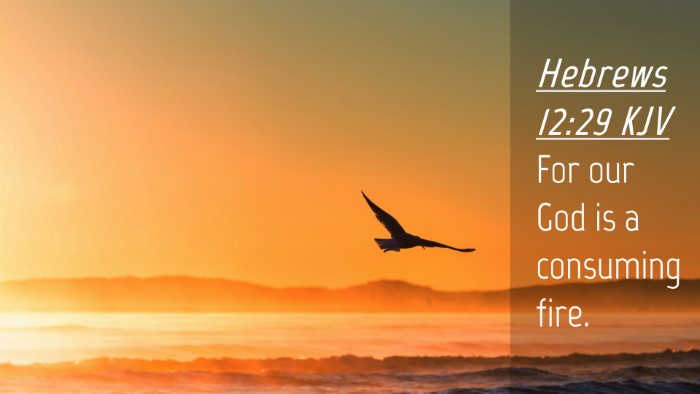 Picture 04 - Hebrews 12:29 KJV Desktop Wallpaper - For our God is a consuming - Desktop Bible Verse Wallpaper