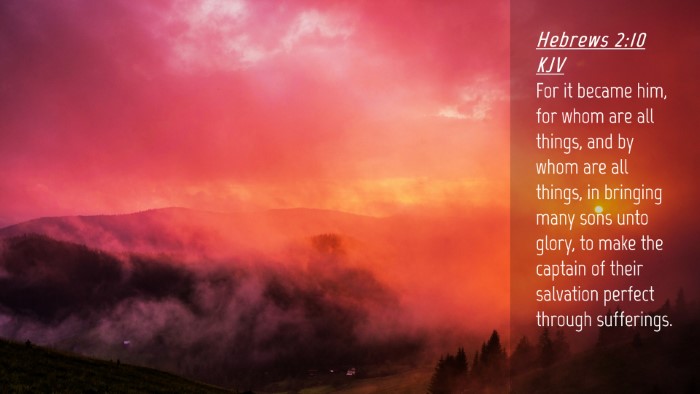 Picture 04 - Hebrews 2:10 KJV Desktop Wallpaper - For it became him, for whom are all things, and - Desktop Bible Verse Wallpaper