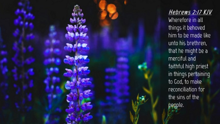 Picture 04 - Hebrews 2:17 KJV Desktop Wallpaper - Wherefore in all things it behoved him to be made - Desktop Bible Verse Wallpaper