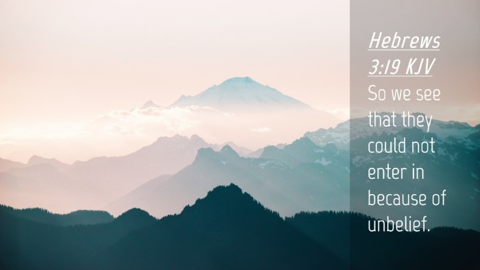 Picture 04 - Hebrews 3:19 KJV Desktop Wallpaper - So we see that they could not enter in because of - Desktop Bible Verse Wallpaper