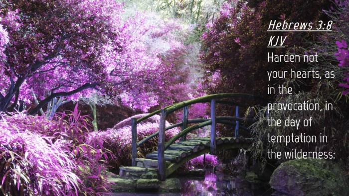 Picture 04 - Hebrews 3:8 KJV Desktop Wallpaper - Harden not your hearts, as in the provocation, in - Desktop Bible Verse Wallpaper