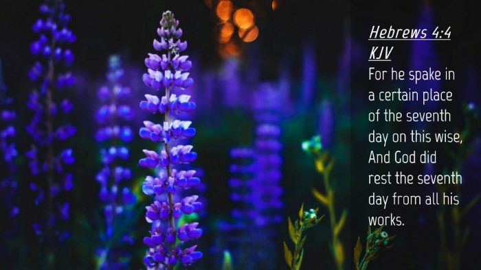 Picture 04 - Hebrews 4:4 KJV Desktop Wallpaper - For he spake in a certain place of the seventh - Desktop Bible Verse Wallpaper