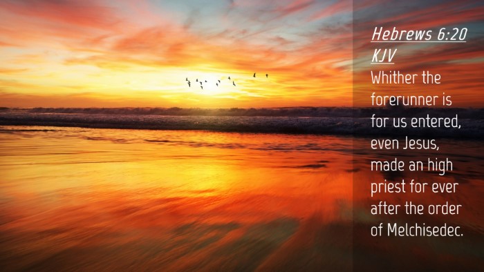 Picture 04 - Hebrews 6:20 KJV Desktop Wallpaper - Whither the forerunner is for us entered, even - Desktop Bible Verse Wallpaper