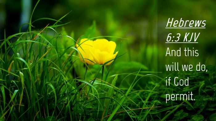 Picture 04 - Hebrews 6:3 KJV Desktop Wallpaper - And this will we do, if God - Desktop Bible Verse Wallpaper
