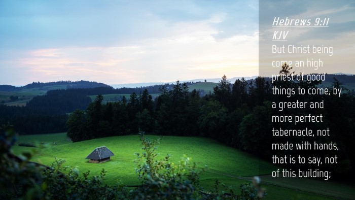 Picture 04 - Hebrews 9:11 KJV Desktop Wallpaper - But Christ being come an high priest of good - Desktop Bible Verse Wallpaper