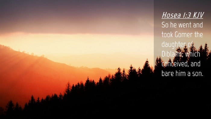 Picture 04 - Hosea 1:3 KJV Desktop Wallpaper - So he went and took Gomer the daughter of - Desktop Bible Verse Wallpaper