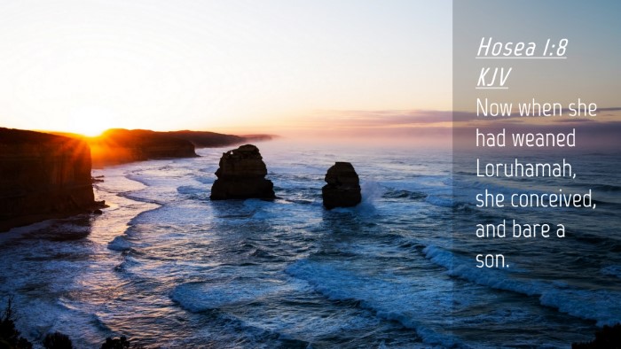 Picture 04 - Hosea 1:8 KJV Desktop Wallpaper - Now when she had weaned Loruhamah, she conceived, - Desktop Bible Verse Wallpaper