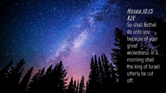 Picture 04 - Hosea 10:15 KJV Desktop Wallpaper - So shall Bethel do unto you because of your great - Desktop Bible Verse Wallpaper