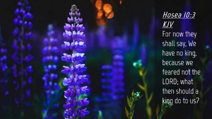 Picture 04 - Hosea 10:3 KJV Desktop Wallpaper - For now they shall say, We have no king, because - Desktop Bible Verse Wallpaper