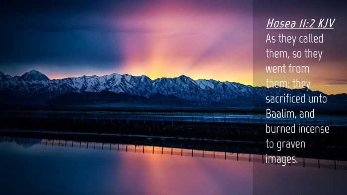 Picture 04 - Hosea 11:2 KJV Desktop Wallpaper - As they called them, so they went from them: they - Desktop Bible Verse Wallpaper