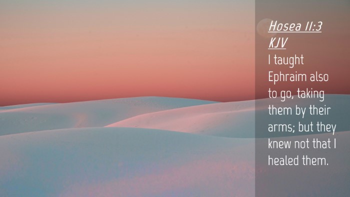 Picture 04 - Hosea 11:3 KJV Desktop Wallpaper - I taught Ephraim also to go, taking them by their - Desktop Bible Verse Wallpaper