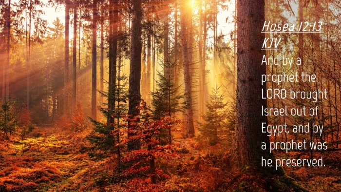 Picture 04 - Hosea 12:13 KJV Desktop Wallpaper - And by a prophet the LORD brought Israel out of - Desktop Bible Verse Wallpaper