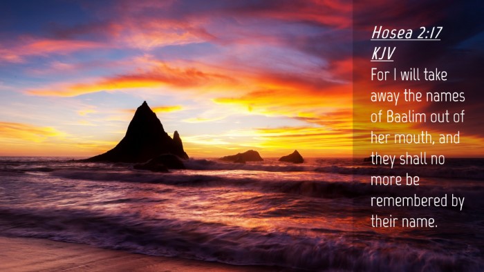 Picture 04 - Hosea 2:17 KJV Desktop Wallpaper - For I will take away the names of Baalim out of - Desktop Bible Verse Wallpaper