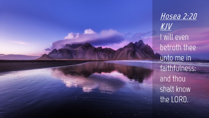 Picture 04 - Hosea 2:20 KJV Desktop Wallpaper - I will even betroth thee unto me in faithfulness: - Desktop Bible Verse Wallpaper