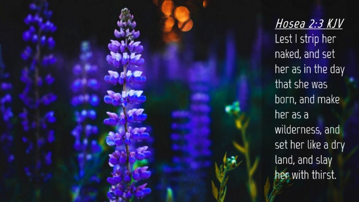Picture 04 - Hosea 2:3 KJV Desktop Wallpaper - Lest I strip her naked, and set her as in the day - Desktop Bible Verse Wallpaper