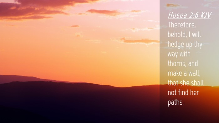 Picture 04 - Hosea 2:6 KJV Desktop Wallpaper - Therefore, behold, I will hedge up thy way with - Desktop Bible Verse Wallpaper